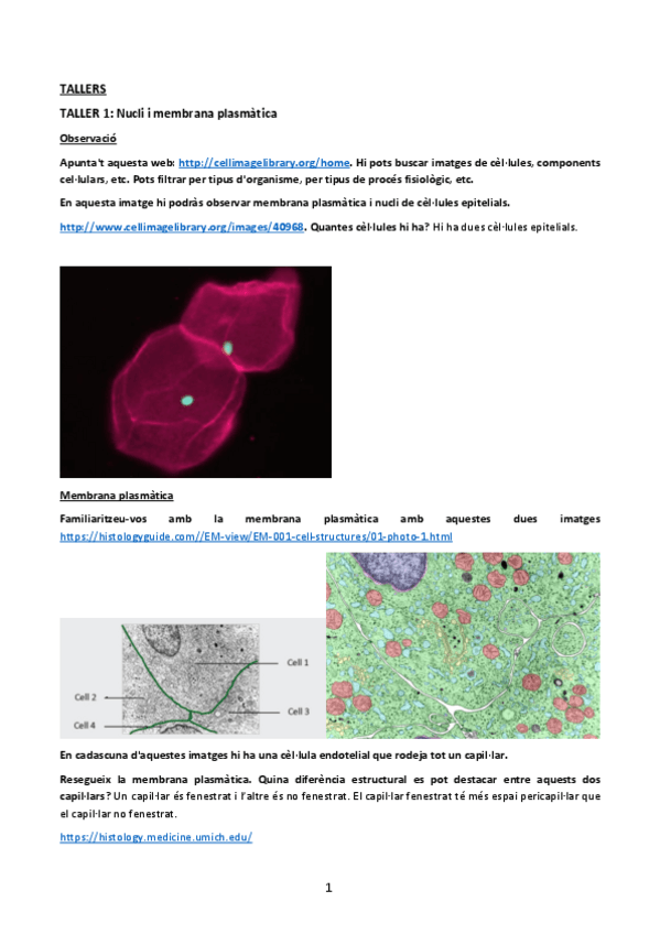Miniatura del documento TALLERS.pdf