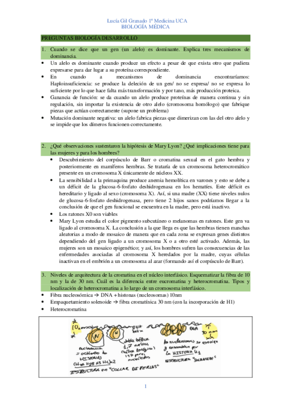 Miniatura del documento PREGUNTAS-BIOLOGIA-DESARROLLO-2.pdf