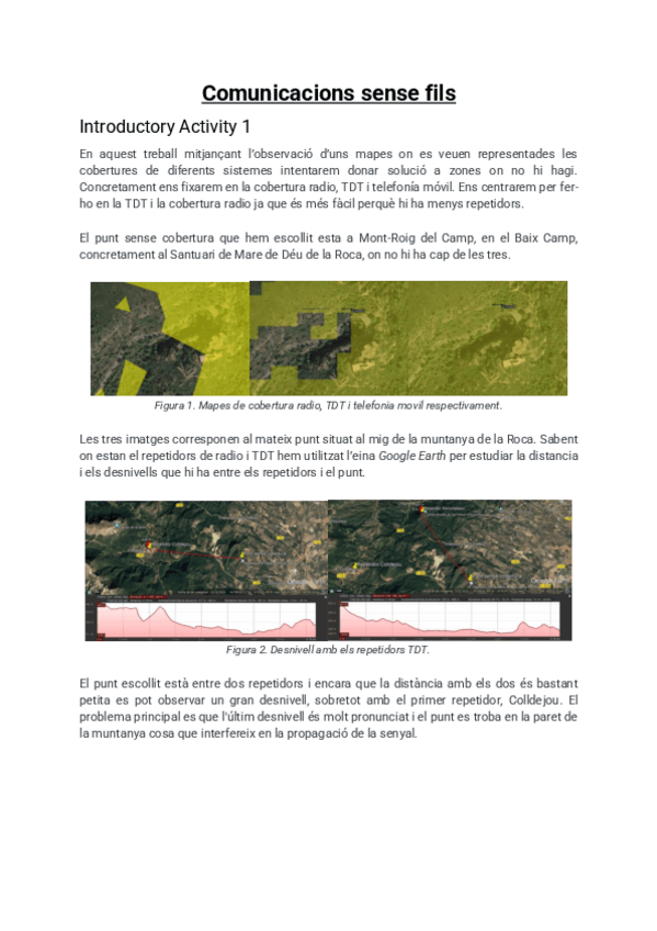 Miniatura del documento Introductory-Activity-1-.pdf