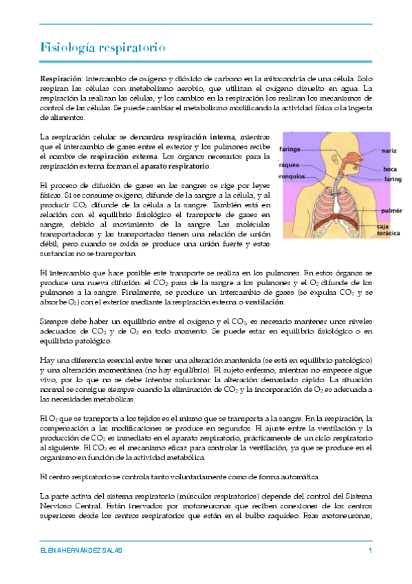 Miniatura del documento Fisio respiratorio.pdf