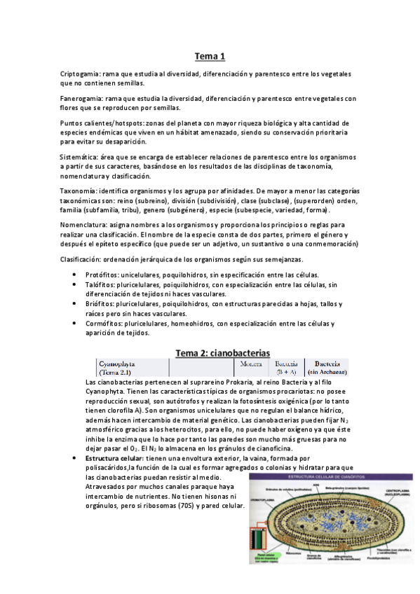 Miniatura del documento bot.pdf