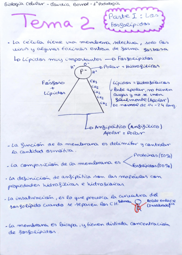 Miniatura del documento Tema-2.pdf