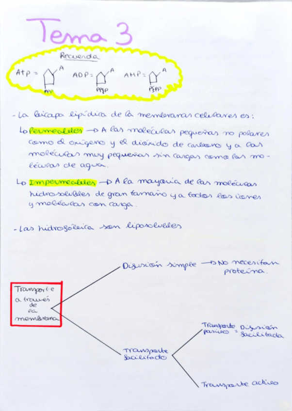 Miniatura del documento Tema-3.pdf