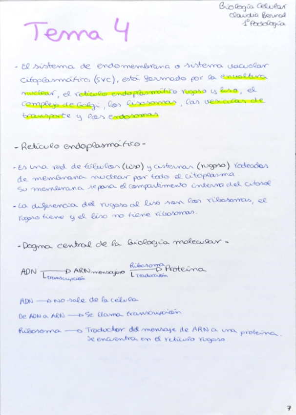 Miniatura del documento Tema-4.pdf