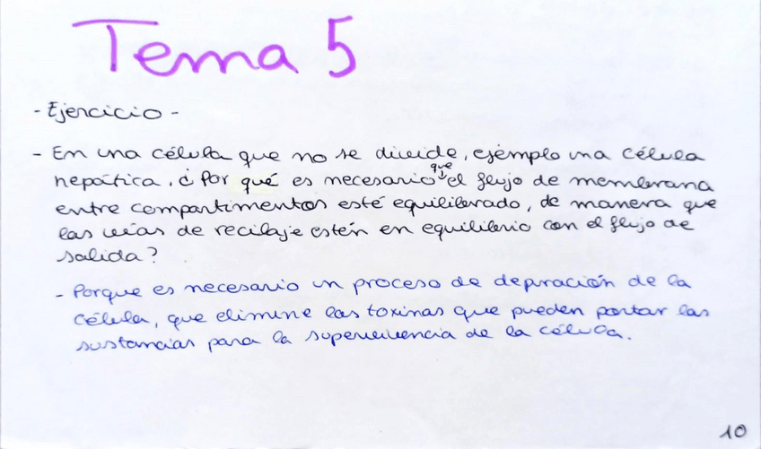 Miniatura del documento Tema-5-y-6.pdf