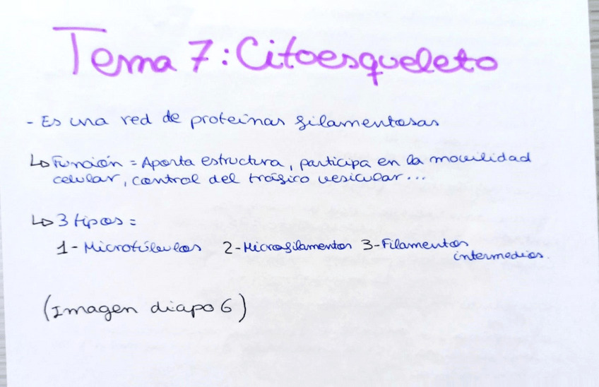 Miniatura del documento Tema-7.pdf