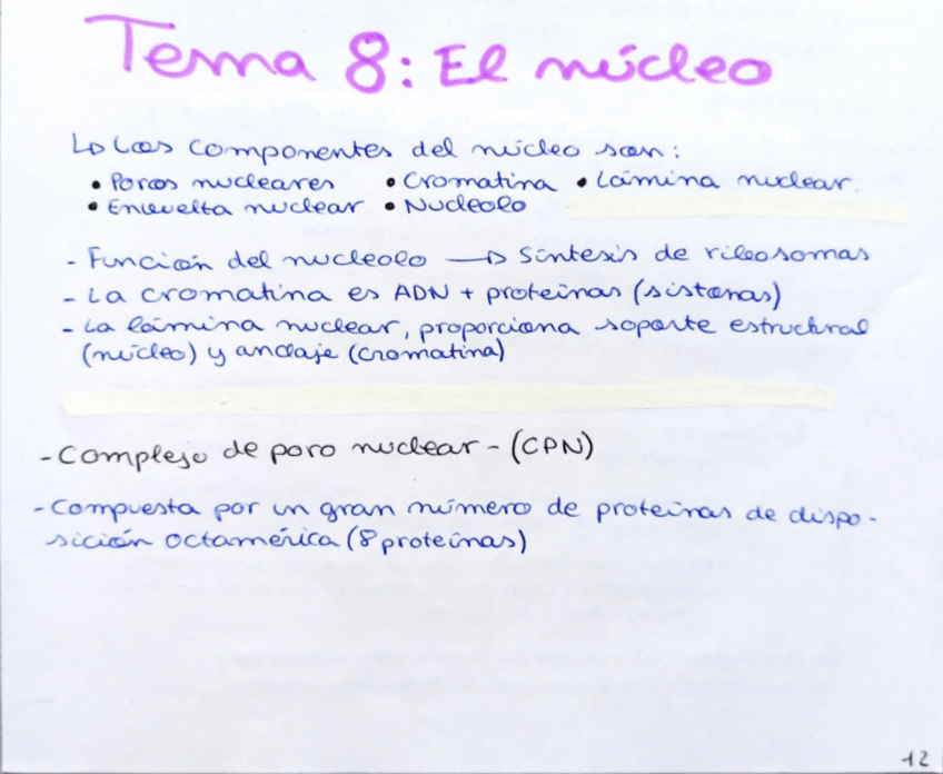 Miniatura del documento Tema-8.pdf