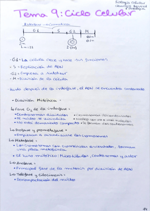 Miniatura del documento Tema-9.pdf