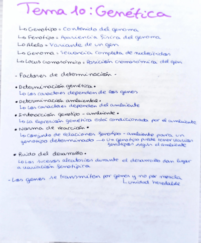 Miniatura del documento Tema-10.pdf