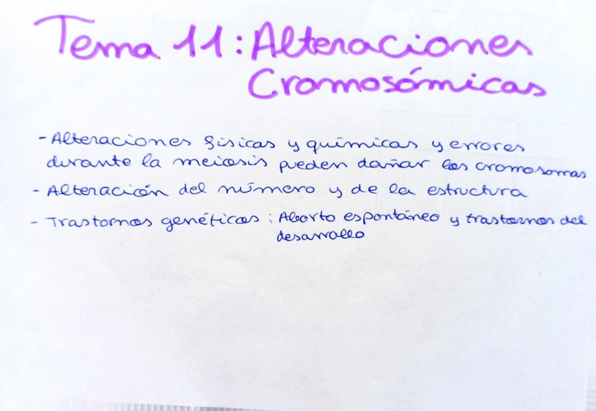 Miniatura del documento Tema-11.pdf