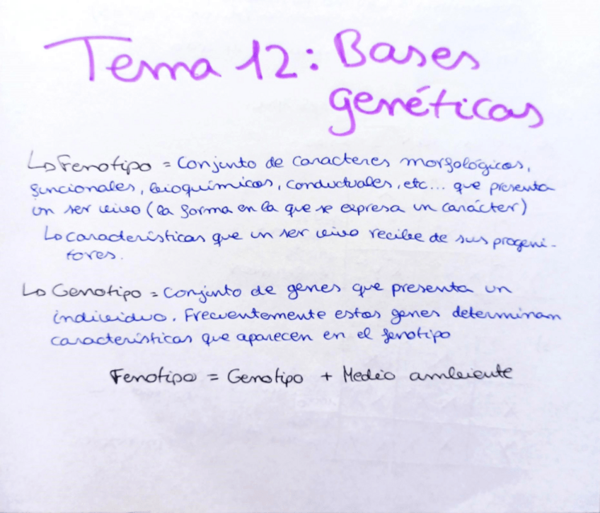 Miniatura del documento Tema-12.pdf