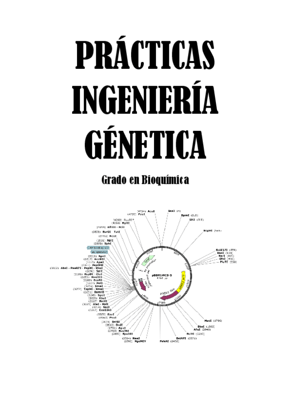 Miniatura del documento cuaderno-de-practicas-de-ingenieria-genetica.pdf