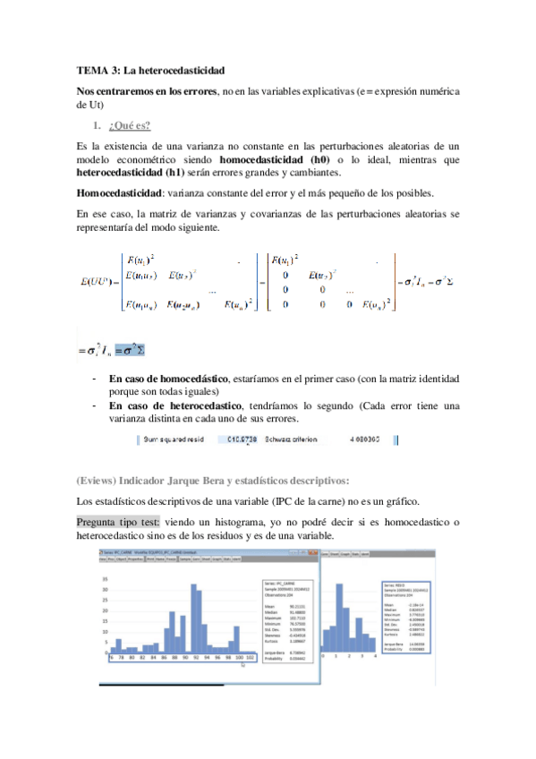 Miniatura del documento Tema-3-Heterocedasticidad.pdf