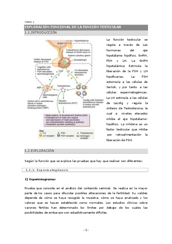 Miniatura del documento 2 - Reproductor.pdf