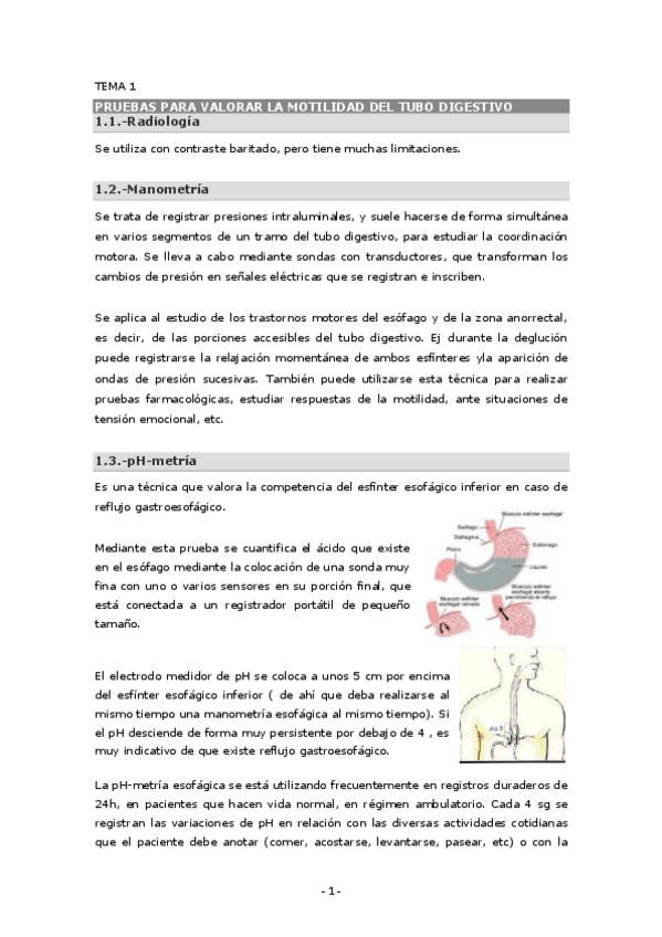 Miniatura del documento 6 - Digestivo.pdf