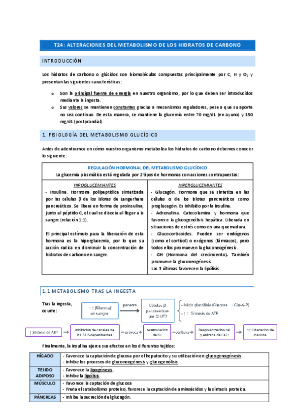 Miniatura del documento PG-24.pdf