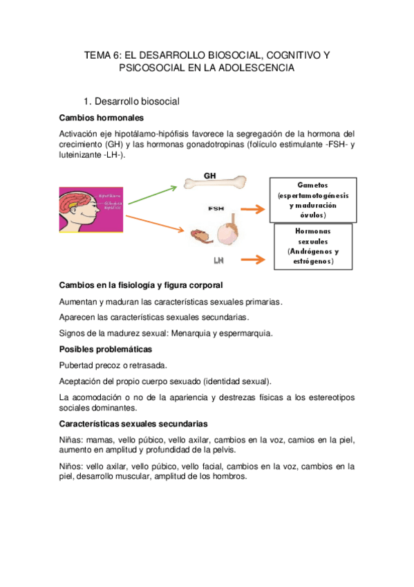 Miniatura del documento TEMA-6.pdf