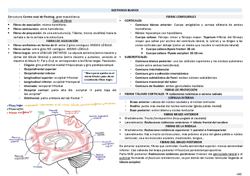 Miniatura del documento SUSTANCIA-BLANCA.pdf