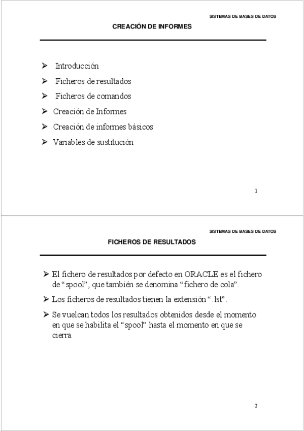 Miniatura del documento 1DiaposInformes.pdf