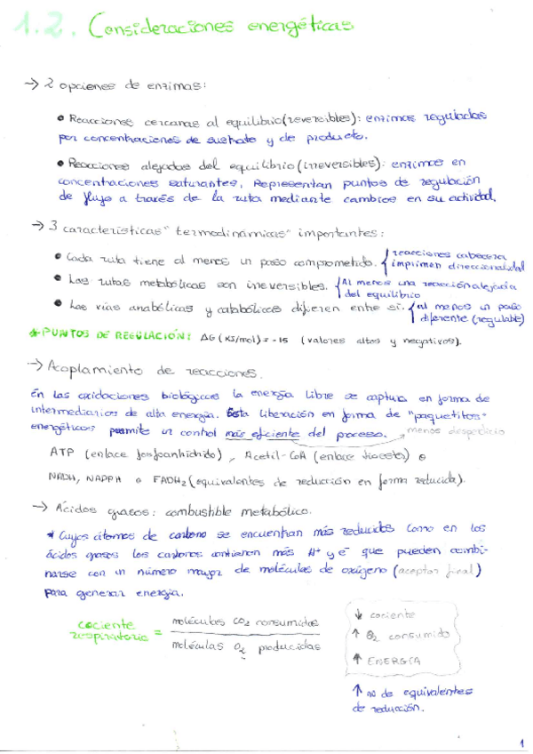 Miniatura del documento Resumen-Regulacion.pdf