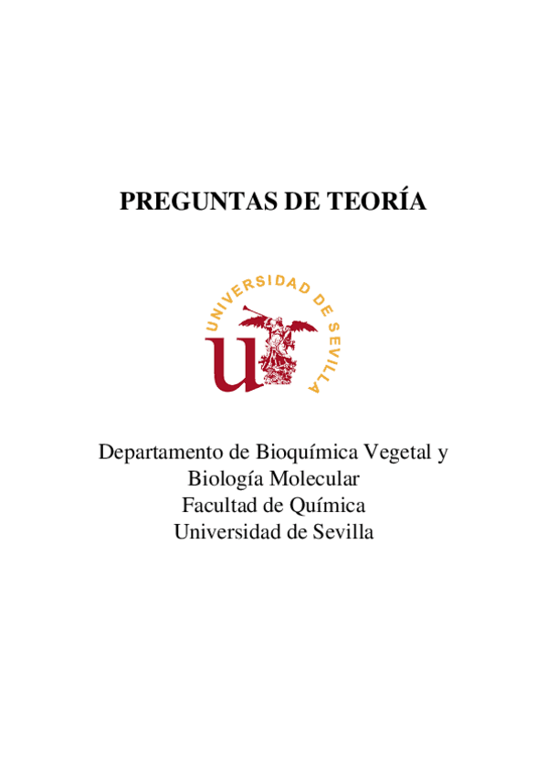 Miniatura del documento Preguntas-de-teoria.doc