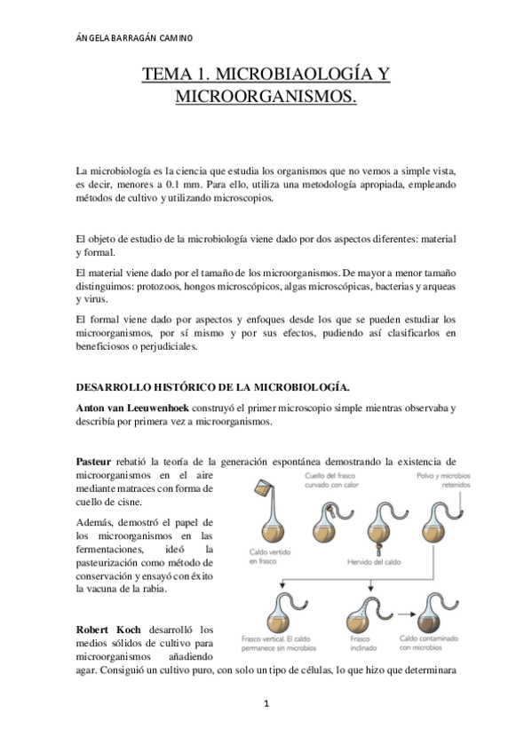 Miniatura del documento TEMA 1. Microbiologia y microorganismos..pdf