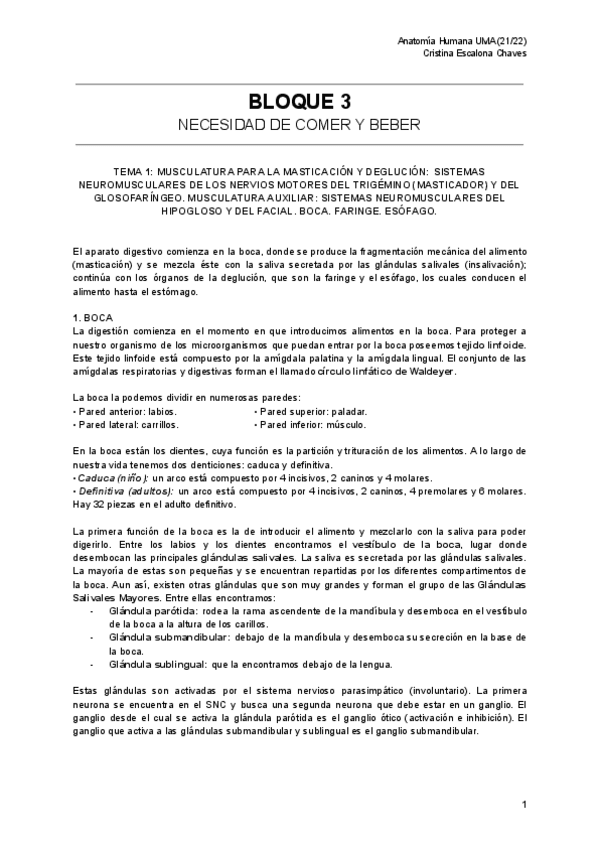 Miniatura del documento BLOQUE-3-ANATOMIA.pdf