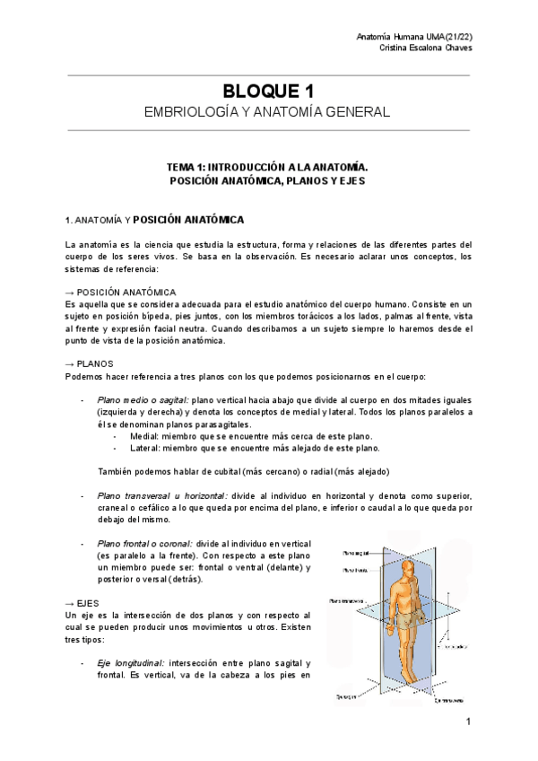 Miniatura del documento BLOQUE-1-ANATOMIA.pdf