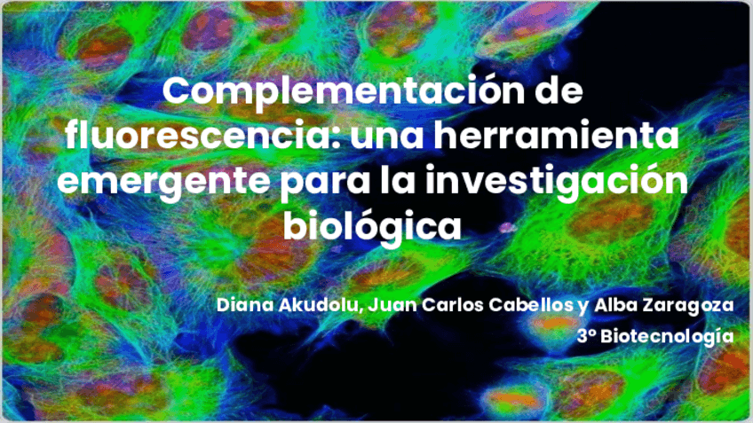 Miniatura del documento Presentacion-tecnologias-2.pdf