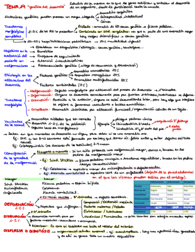 Miniatura del documento T.pdf
