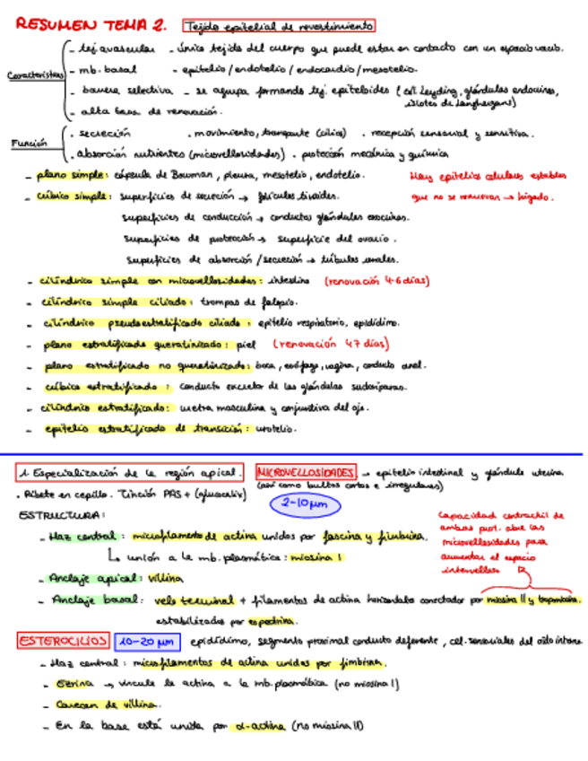 Miniatura del documento Tema-2-esquemas.pdf