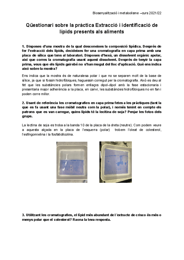 Miniatura del documento Questionari-sobre-la-practica-Extraccio-i-identificacio-de-lipids-presents-als-aliments.pdf