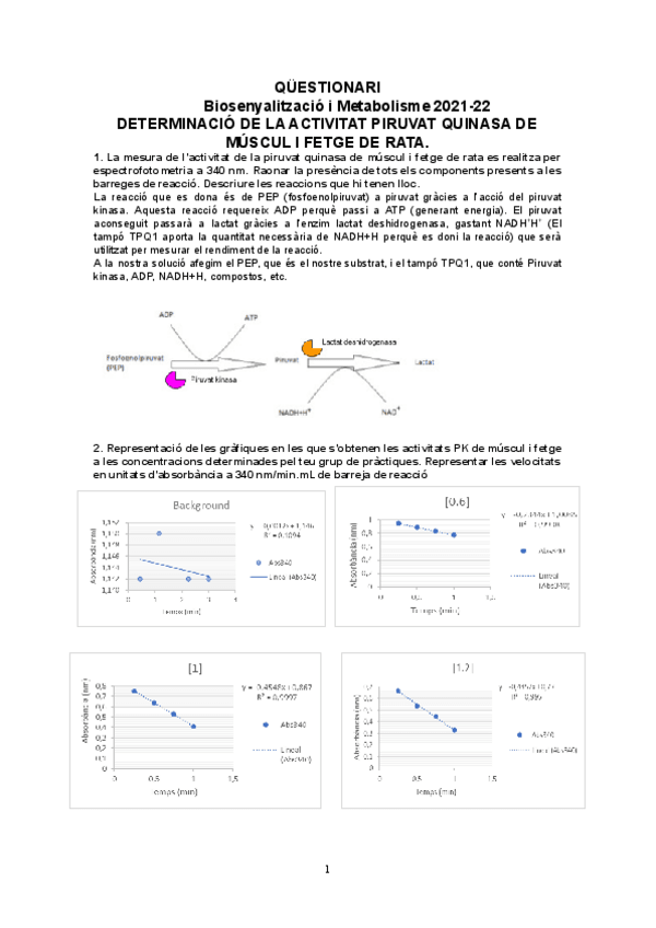 Miniatura del documento QUESTIONARI-PK-i-Bradford2021.pdf