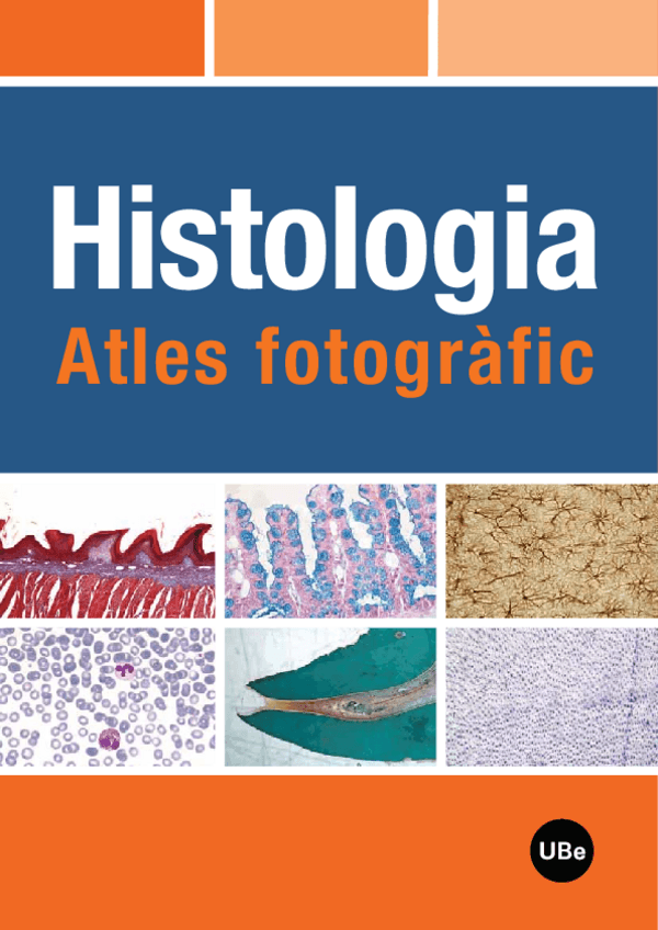 Miniatura del documento ATLAS-HISTO-1-PARTE.pdf