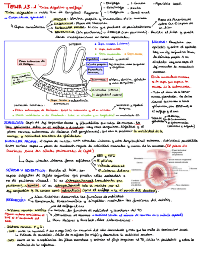 Miniatura del documento T.pdf