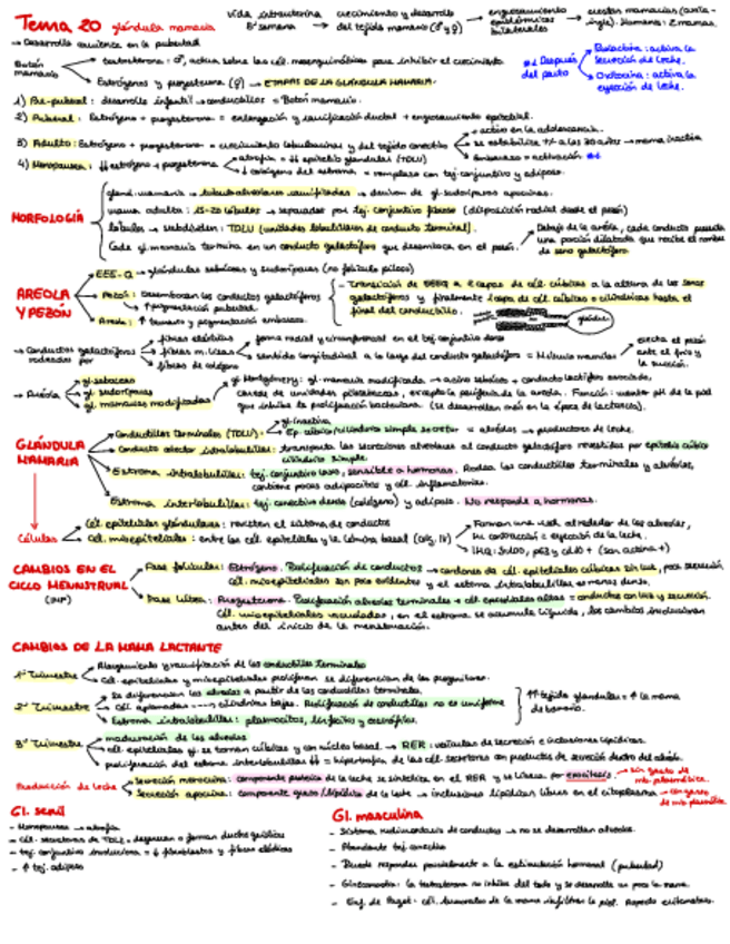 Miniatura del documento T.pdf