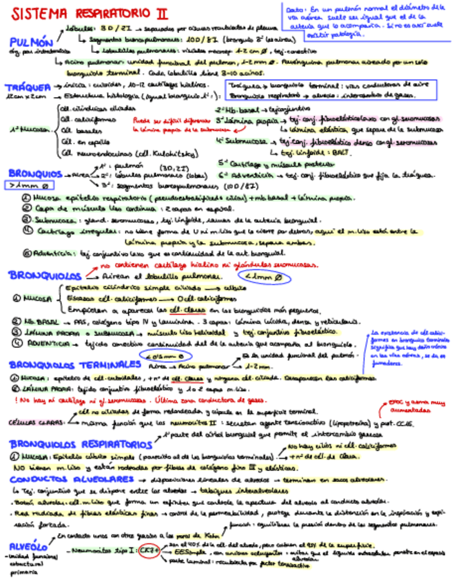 Miniatura del documento T.pdf