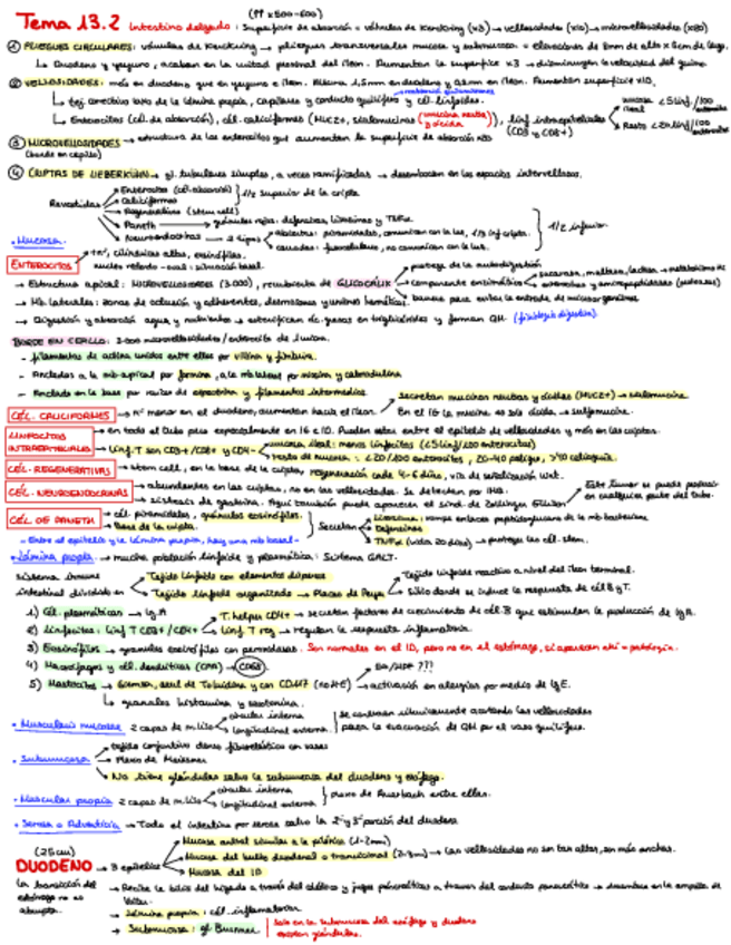 Miniatura del documento T.pdf