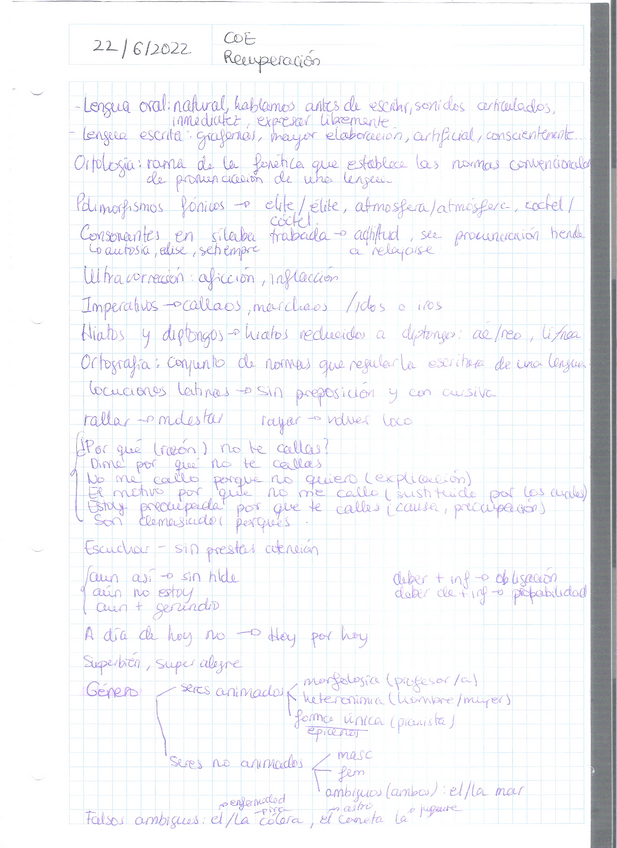 Miniatura del documento Resumen-pag-3.pdf