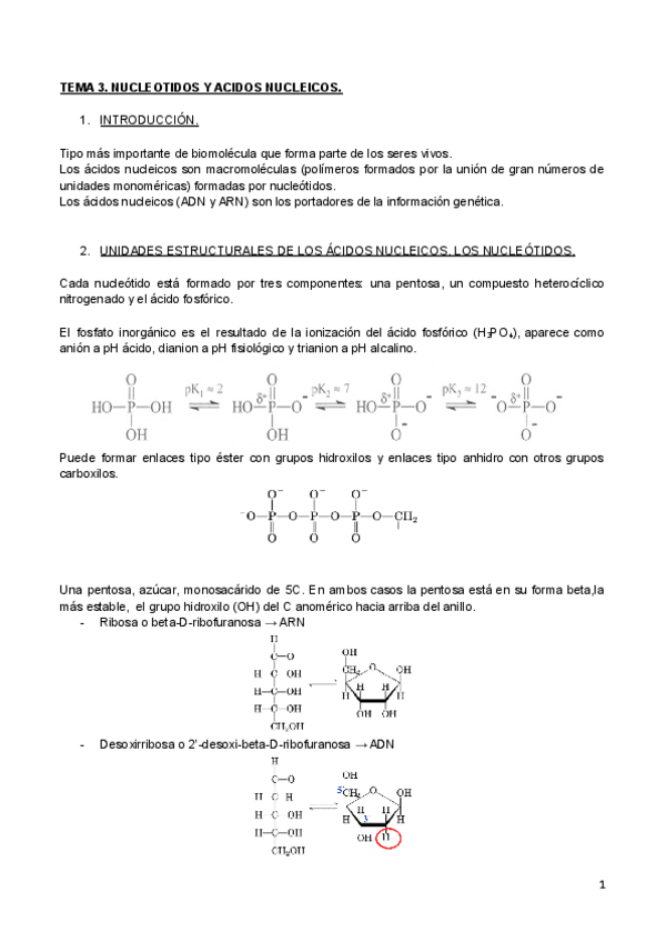 Miniatura del documento TEMA-3.pdf