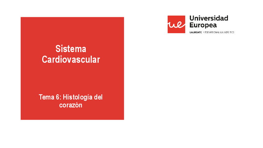 Miniatura del documento CARDIO-6-HISTOLOGIA-DEL-CORAZON-20-21.pdf