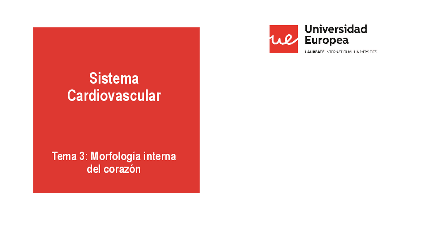 Miniatura del documento CARDIO-3-CORAZON-MORFOLOGIA-INT-20-21.pdf