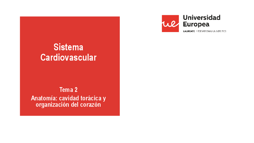 Miniatura del documento CARDIO-2-ANATOMIA-I-20-21.pdf