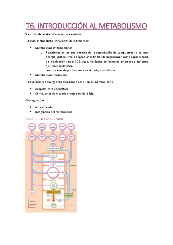 Miniatura del documento T6.pdf