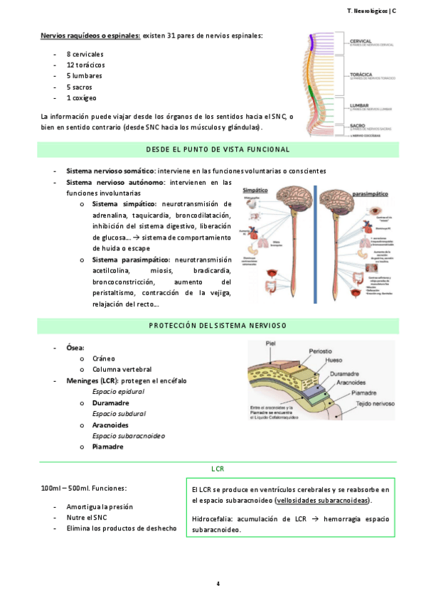 Miniatura del documento NEURO-6-10.pdf