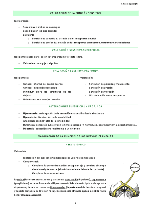 Miniatura del documento NEURO-11-15.pdf