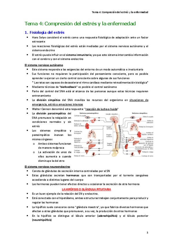 Miniatura del documento Tema-4-Compresion-del-estres-y-la-enfermedad.pdf