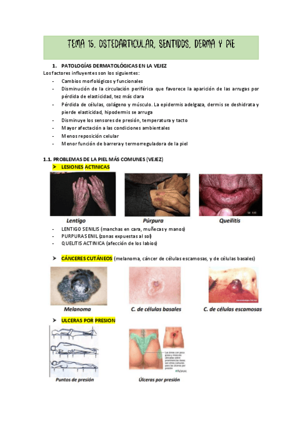 Miniatura del documento TEMA-15.pdf