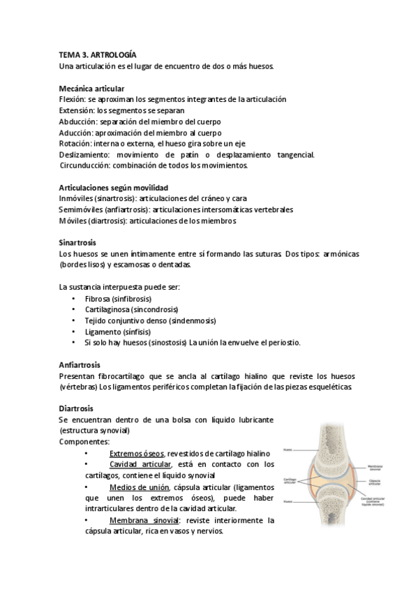 Miniatura del documento TEMA-3-ANATOMIA.pdf