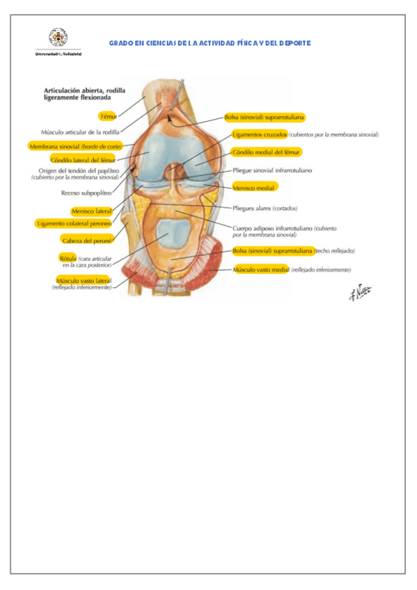 Miniatura del documento Soluciones-practica-5.pdf